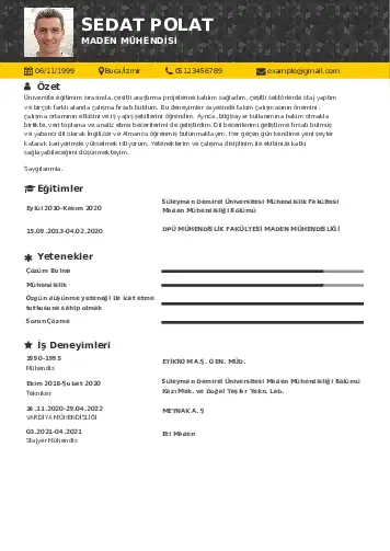 Maden Mühendisi Cv Örnekleri cv indir